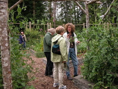 Vegetable Garden