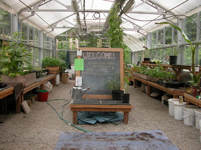 Inside the greenhouse